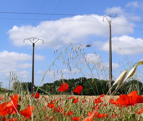 Réseau électricité