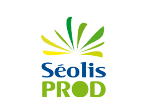 case_seolis_prod_3