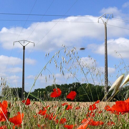 Réseau électricité