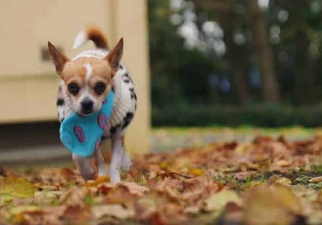 calorifugeage_reseaux_banniere_mobile